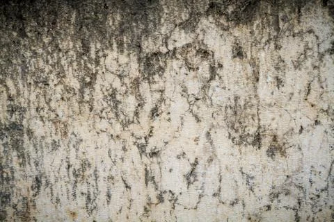 Old stone texture Stock Photos