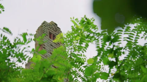 An old stone tower rises behind lush green leaves Stockbeeldmateriaal 309358870