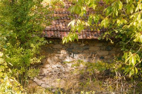 Old stone wall of abandoned rustic house with red tiled roof partially hidd.. Stock Photos
