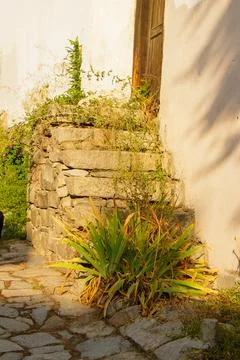 Old stone wall and rustic steps with wild plants in warm sunlight by histor.. Stock Photos
