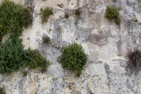 Old stone wall as background Stock Photos