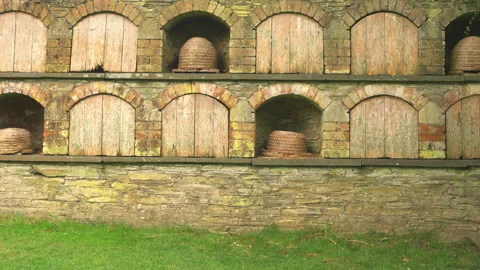 An old stone wall bee bole with recessed alcoves and wicker skeps. Stock-Footage 288098158
