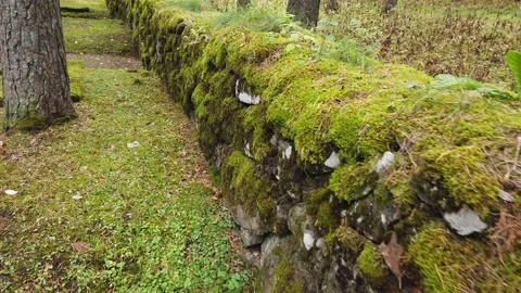 Old stone wall at cemetery Stock-Footage 213875522