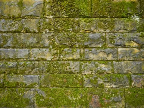 Old stone wall covered with grass Stock Photos