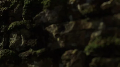 Old stone wall covered with green moss in a dark room Stock Footage 340016370