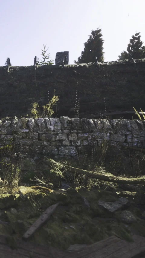 Old stone wall covered in moss and grass under a bright sunny sky Stock Footage 340080218