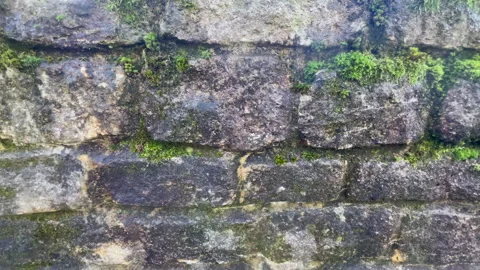 Old stone wall Stock Footage 298985573