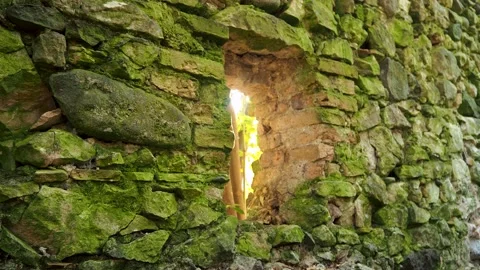 Old Stone Wall in Forest Stock Footage 218310187