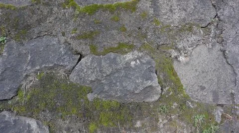 Old Stone Wall Moss Background Stock Photos