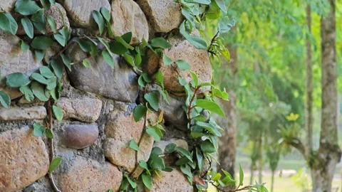 Old stone wall patterned texture. Stock Footage 304943150