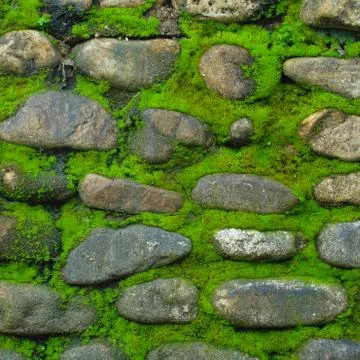 Old stone wall Stock Photos