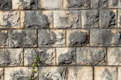 An old stone wall Stock Photos