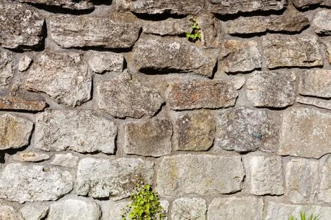 Old stone wall Stock Photos