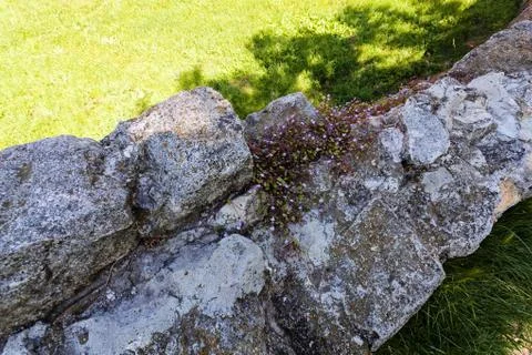 Old stone wall Stock Photos