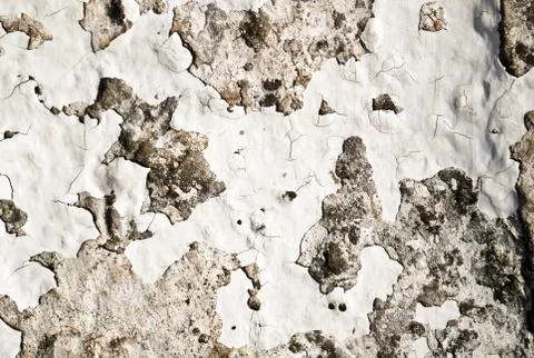 Old stone wall 库存照片