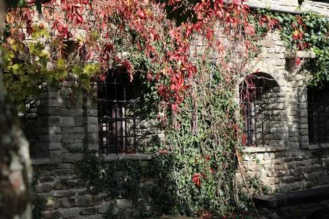 Old stone wall Stock Photos