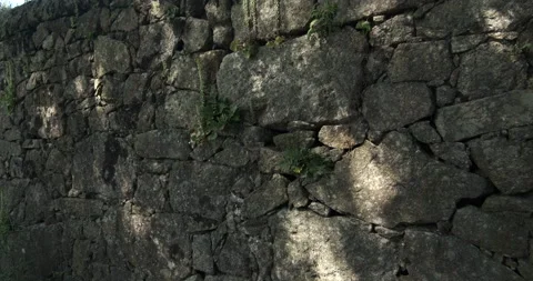 Old stone wall with shadows cast by tree branches swaying in wind. Stock Footage 130226070