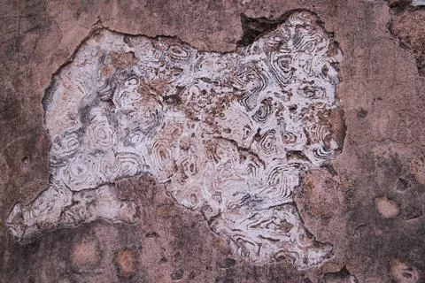 Old stone wall texture. Abstract background for design. Toned Stock Photos