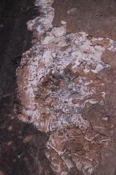 Old stone wall texture. Abstract background for design. Toned Stock Photos