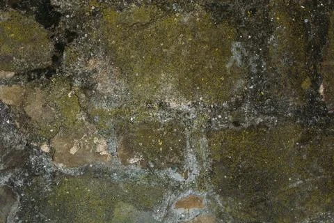 Old stone wall texture, cement, plaster. Background Stock Photos