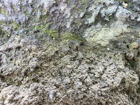 Old Stone Wall Texture Close Up Stock Photos