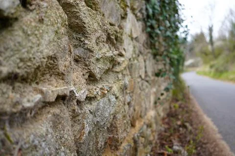 Old stone wall texture with green ivy along a rural road, rustic background.. Stock Photos