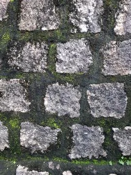 Old stone wall texture with moss background Stock Photos