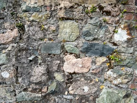Old stone wall texture with moss and lichen Фото