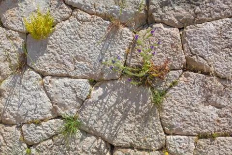 Old stone wall texture Stock Photos