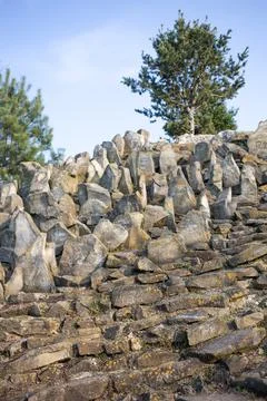 Old stone wall with trees in the background. Stock Photos