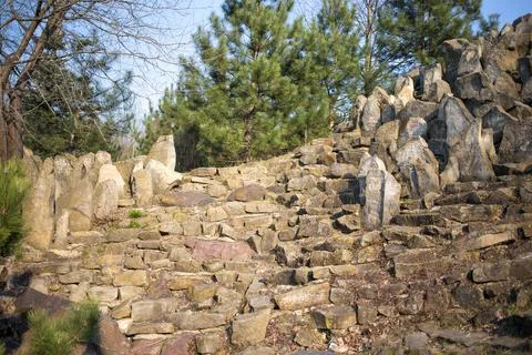 Old stone wall with trees as a background. Stock Photos