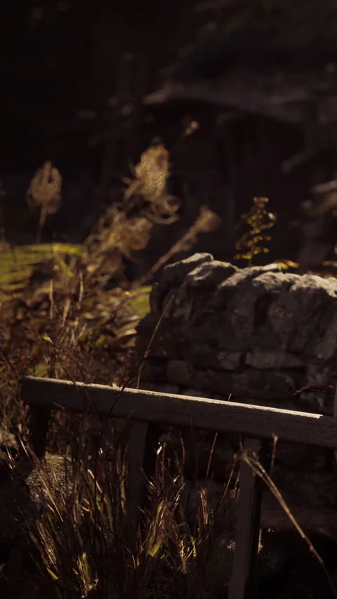 Old stone wall with wooden bench and dry grass in nature scene Video stock 339036586