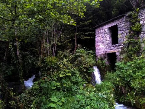 Old stone water mill in the forest, surrounded by green trees Stock Photos