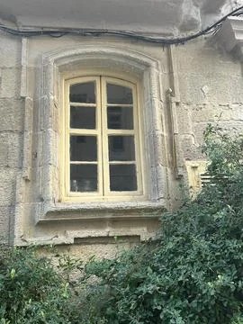 Old Stone Window With Green Plants on Historic Building Stock Photos