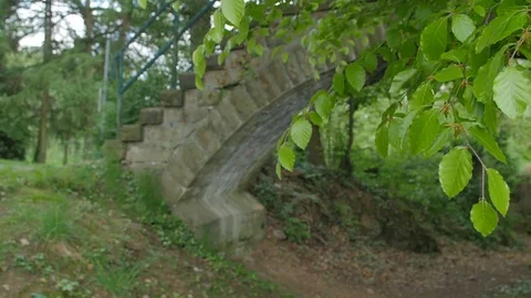 The old stony bridge of mountain stream in leaves forest Stock Footage 75873110