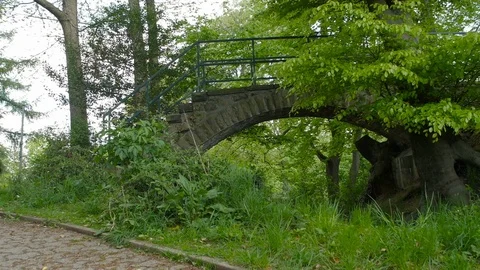 The old stony bridge of mountain stream in leaves forest Stock Footage 76407253
