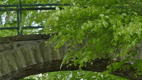 The old stony bridge of mountain stream in leaves forest Stock Footage 76408012