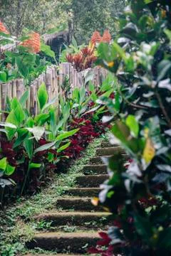 Old stony stairs at Gitgit Waterfall on Bali island, Indonesia Foto stock