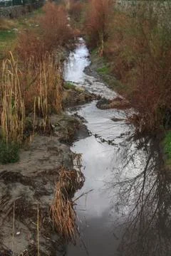 An Old Stream with Reflection of Sky Stock Photos