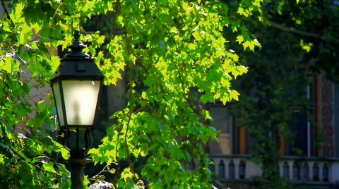 Old Street Lamp Stock Footage