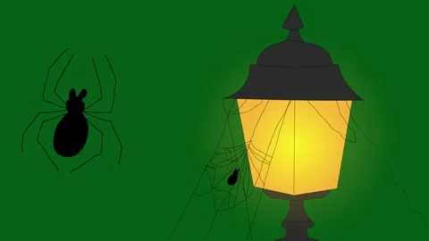 Old Street Lamp Post with Spider Web Green Screen - Climbing Spider Horror Stock Footage 319405335