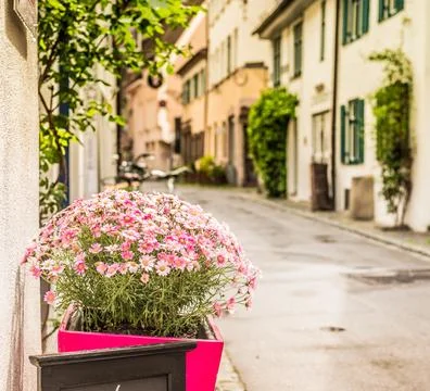 In the old streets of Ulm Stock Photos