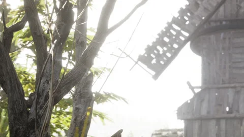Old structure beside a tree during bright daylight Stock Footage 344851108