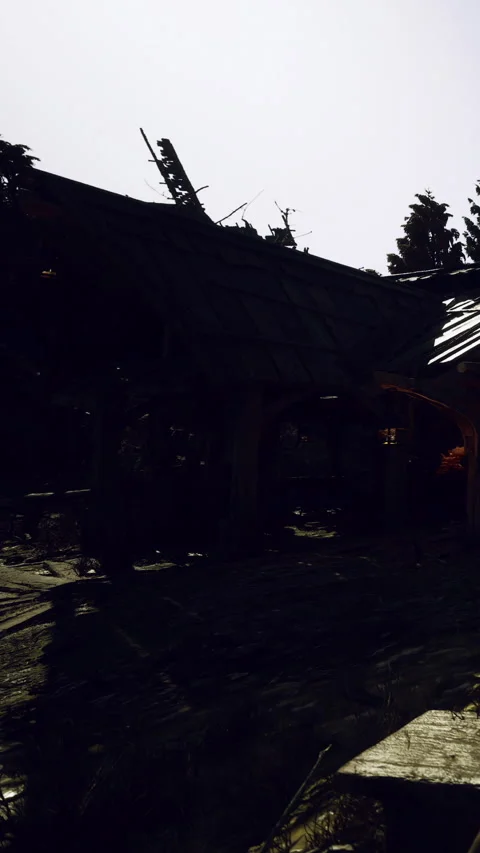 Old structure in dark scenery with trees in background and roof details Stock Footage 339956382
