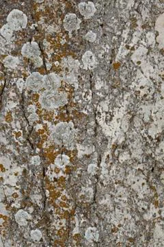 Old structure  stone Stock Photos