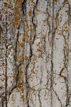 Old structure  stone Stock Photos