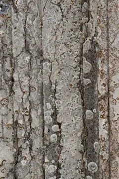 Old structure  stone Stock Photos