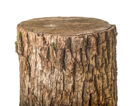 Old stump isolated Foto stock