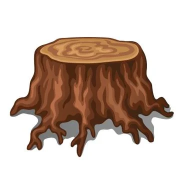 Old stump of a tree with roots isolated on white background. Vector illustration Stock Illustration