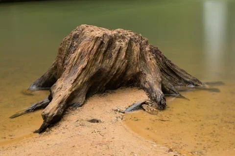 Old stump at Upper Falls at Old Man's Cave, Hocking Hills State Park, Ohio. Foto stock